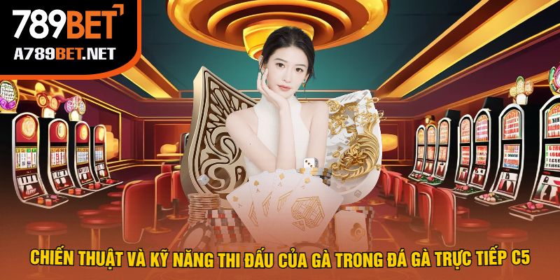 Chiến Thuật Và Kỹ Năng Thi Đấu Của Gà Trong Đá Gà Trực Tiếp C5