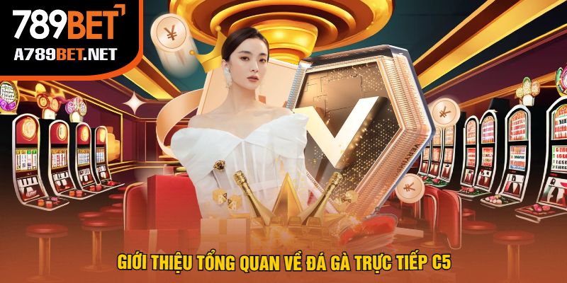 Giới Thiệu Tổng Quan Về Đá Gà Trực Tiếp C5